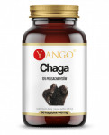 Chaga - ekstrakt 10% polisacharydów - 90 kaps.